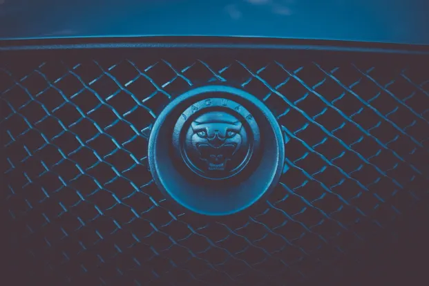 Cleopatra Casino Aplicación Android/iOS